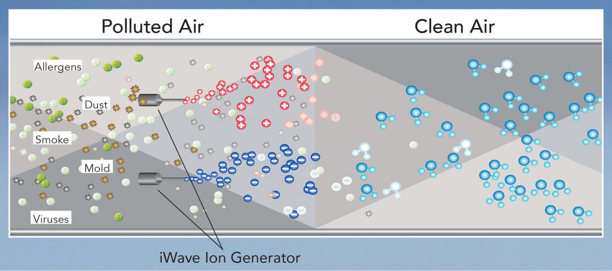 iWave-R Diagram iWave-R Diagram